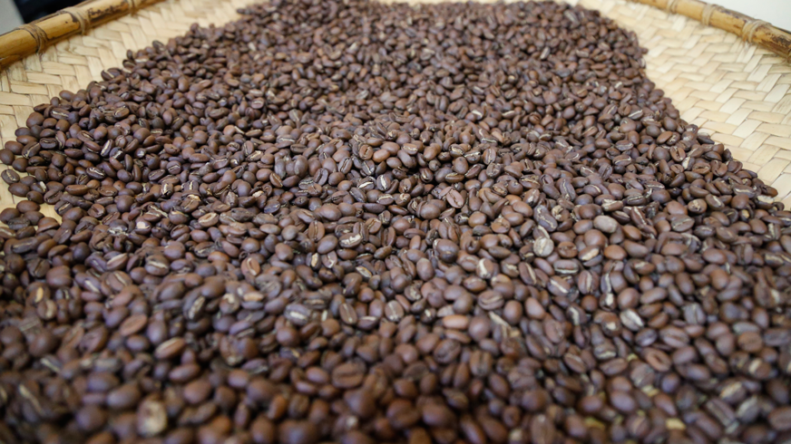 Roasted coffee beans
