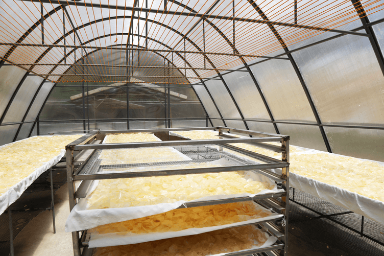 Drying area for peeled and chipped cassava