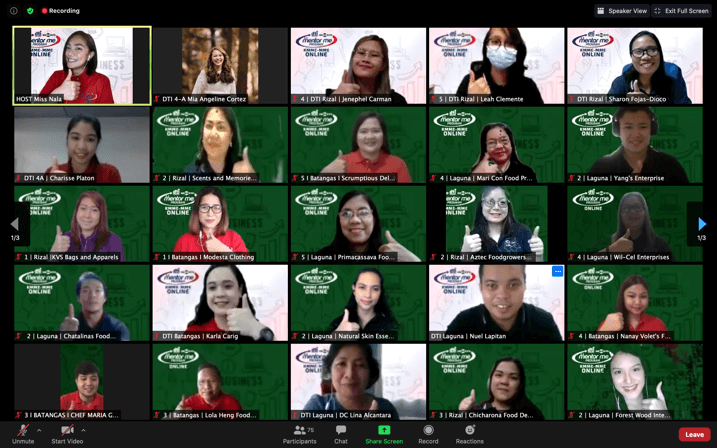 Zoom KMME-MME Participants Grid View