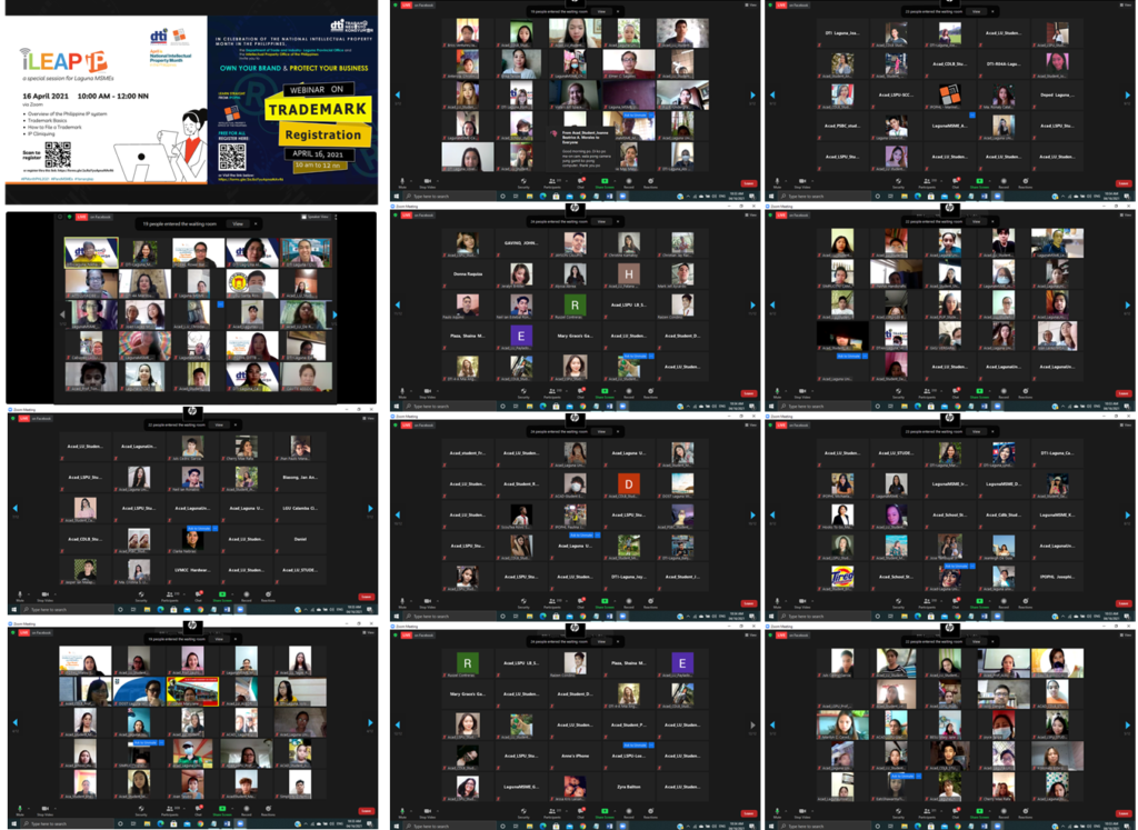 Screenshots of webinar participants