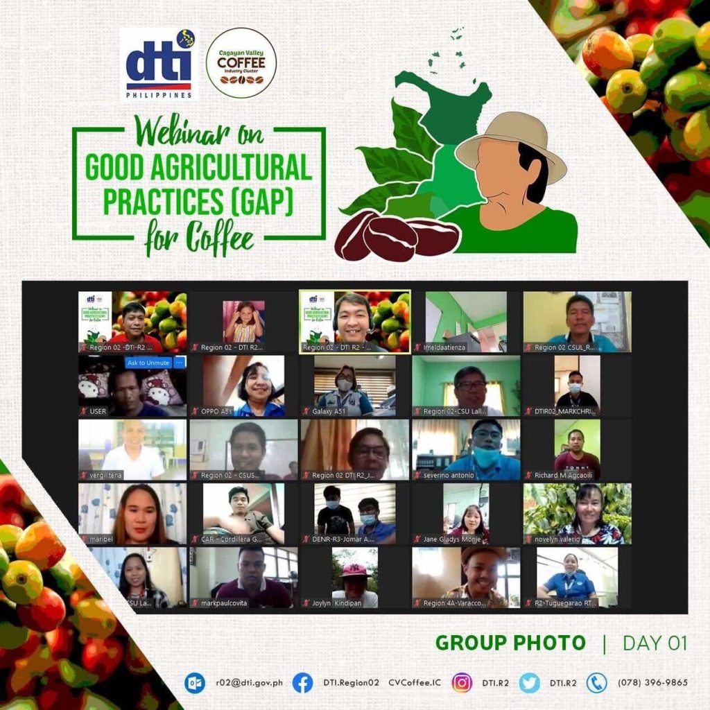 Participants of the Webinar via Zoom