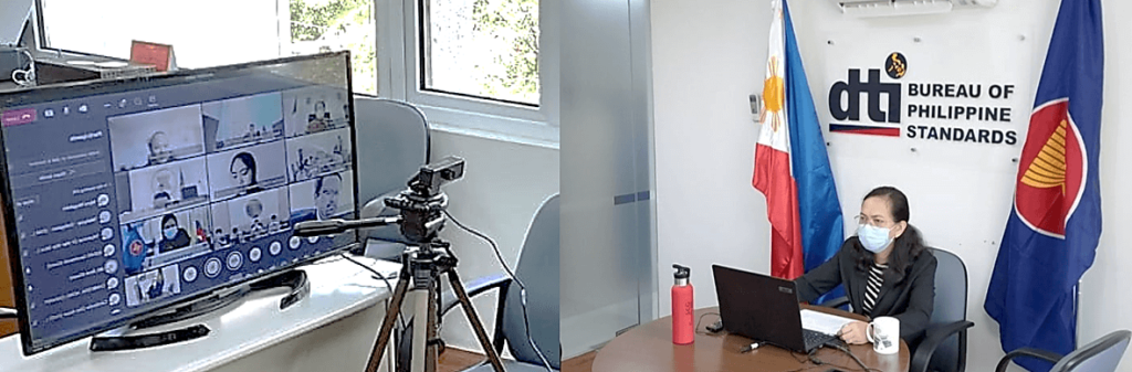 DTI-BPS participates in the 17th Meeting of the Task Force on Wood-Based Products via video conferencing last 21 May 2021