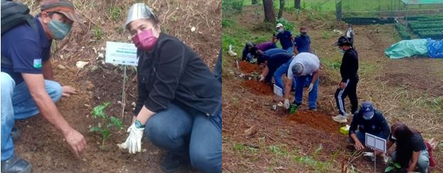 DTI-CAR joined the coffee planting activity at the PNC-TVI Coffee Farm and Nursery.