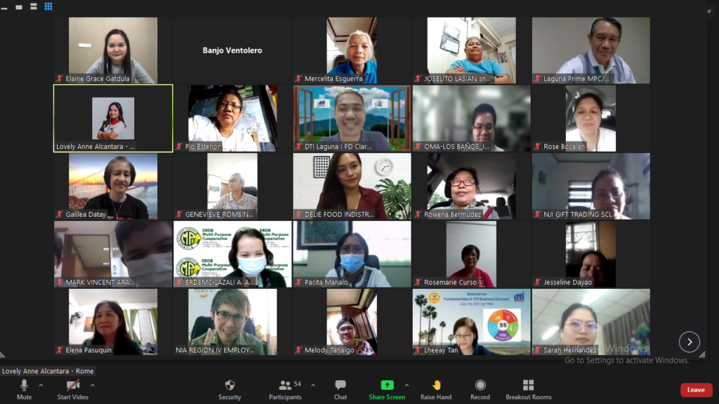 crowd shot of the participants of the webinar