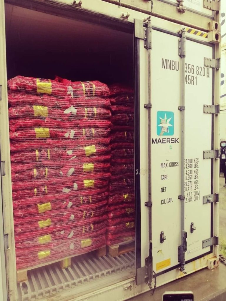 Photo of the red onions in the container