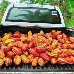 Engineering and Farming: a perfect duo