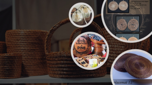 Everything is Pine, Utilizing Earth's Gifts