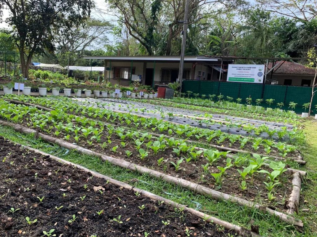 Ouan's Worth Farm and Family Resort Corporation