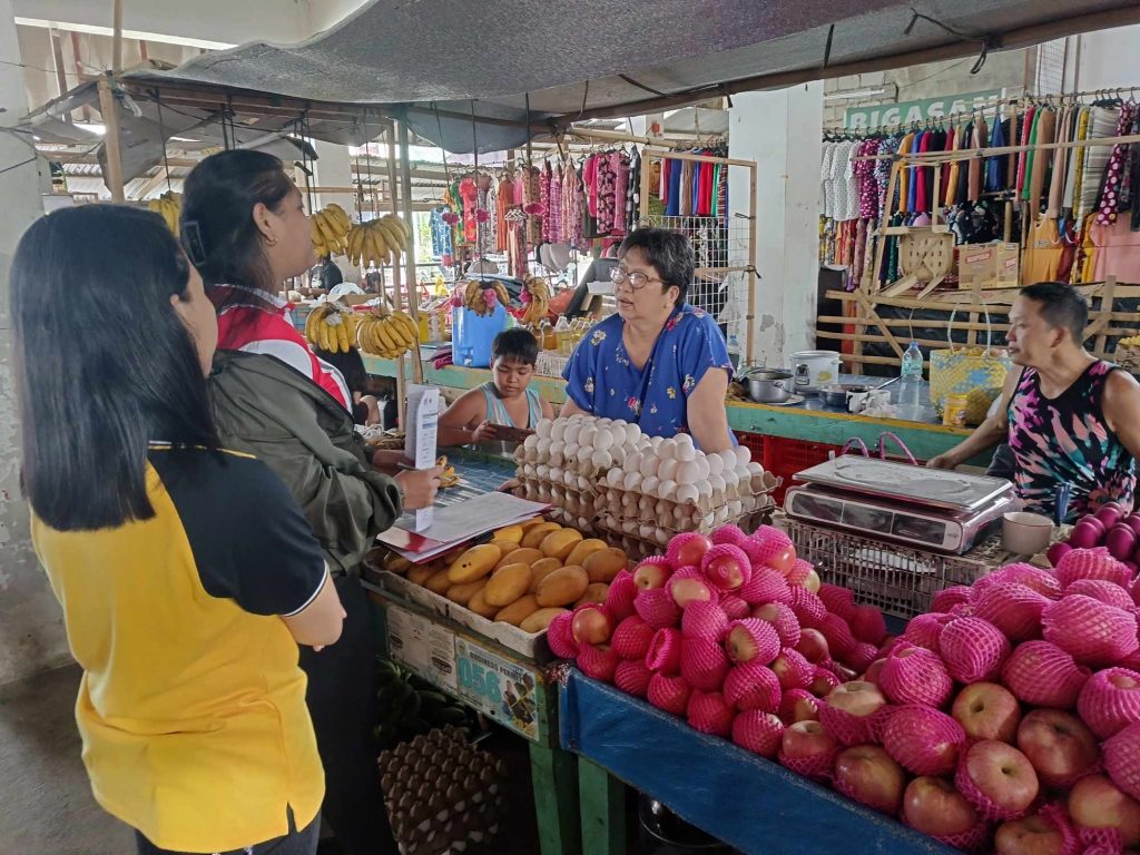 01062025_DTI-Laguna Conducts House-to-House Profiling of Potential NSB Beneficiaries (3)