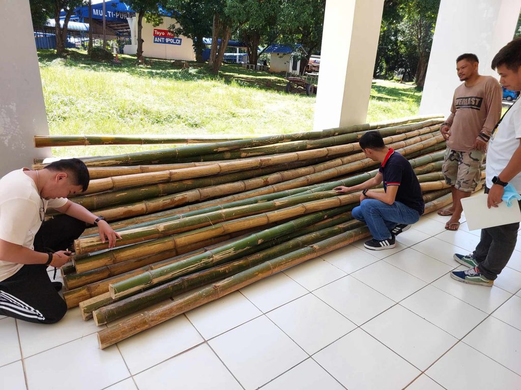 Four men inspecting bamboos