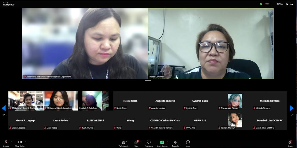 DTI-Laguna, CLDD Conduct Webinar on Quality Customer Service and Consumer Education