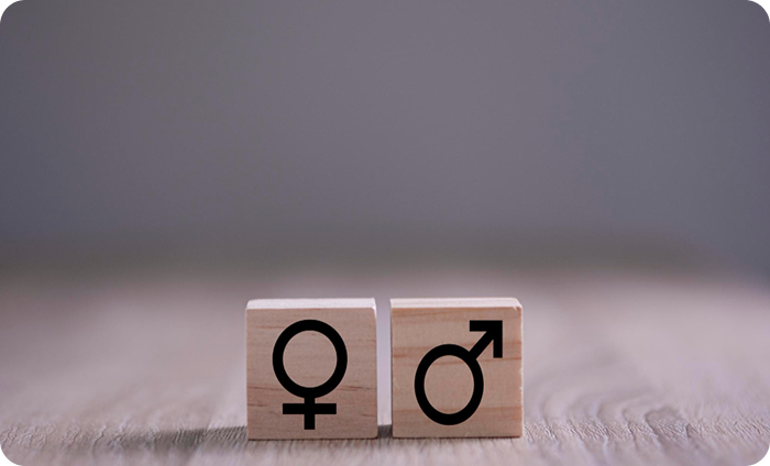 Wooden blocks with female and male gender symbols representing gender and development Wooden blocks with female and male gender symbols representing gender and development