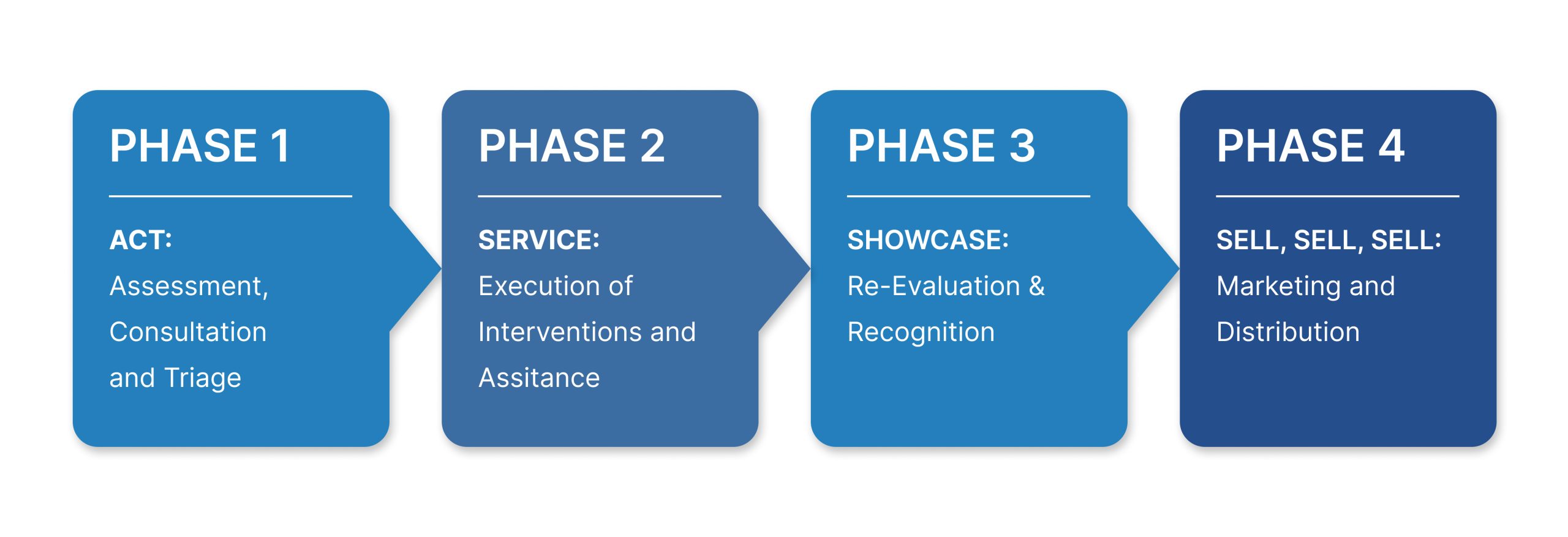 PROGRAM PHASES